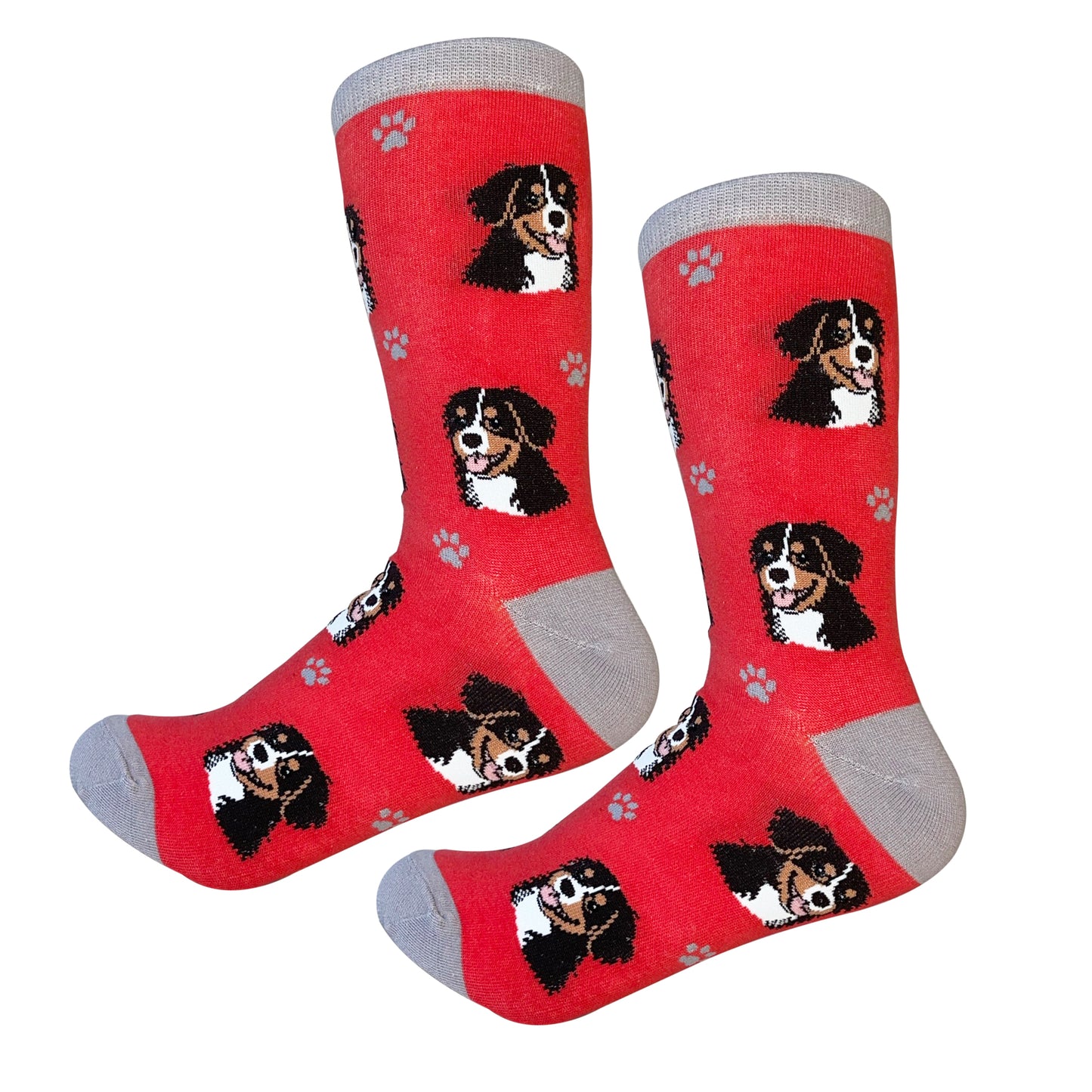 Dog Lovers Socks - Bernese Mountain Dog