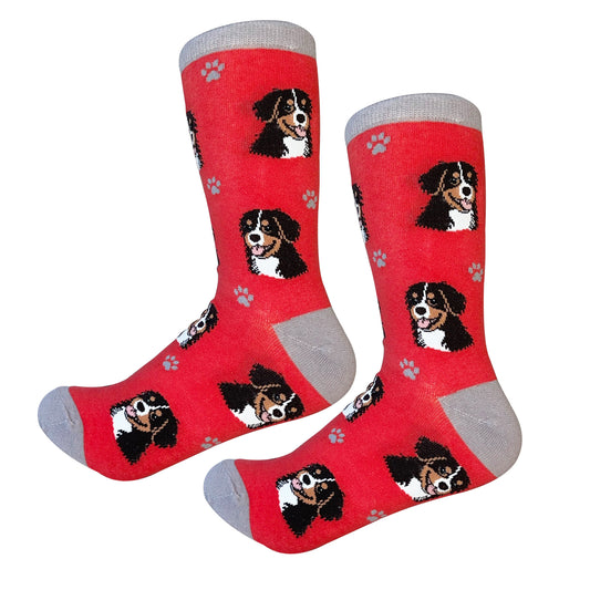 Dog Lovers Socks - Bernese Mountain Dog