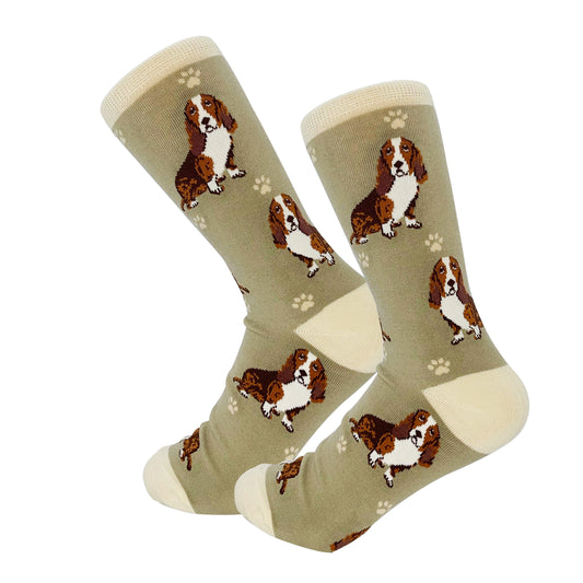 Dog Lovers Socks - Bassett Hound