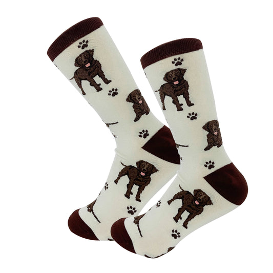 Dog Lovers Socks - Chocolate Labrador Retriever