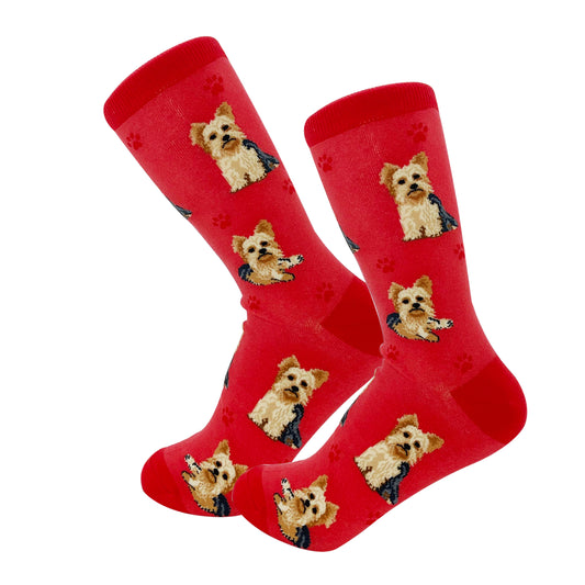 Dog Lovers Socks - Yorkshire Terrier