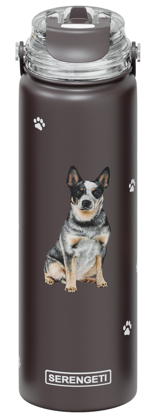 Serengeti Water Bottle - Australian Cattle Dog - 24oz
