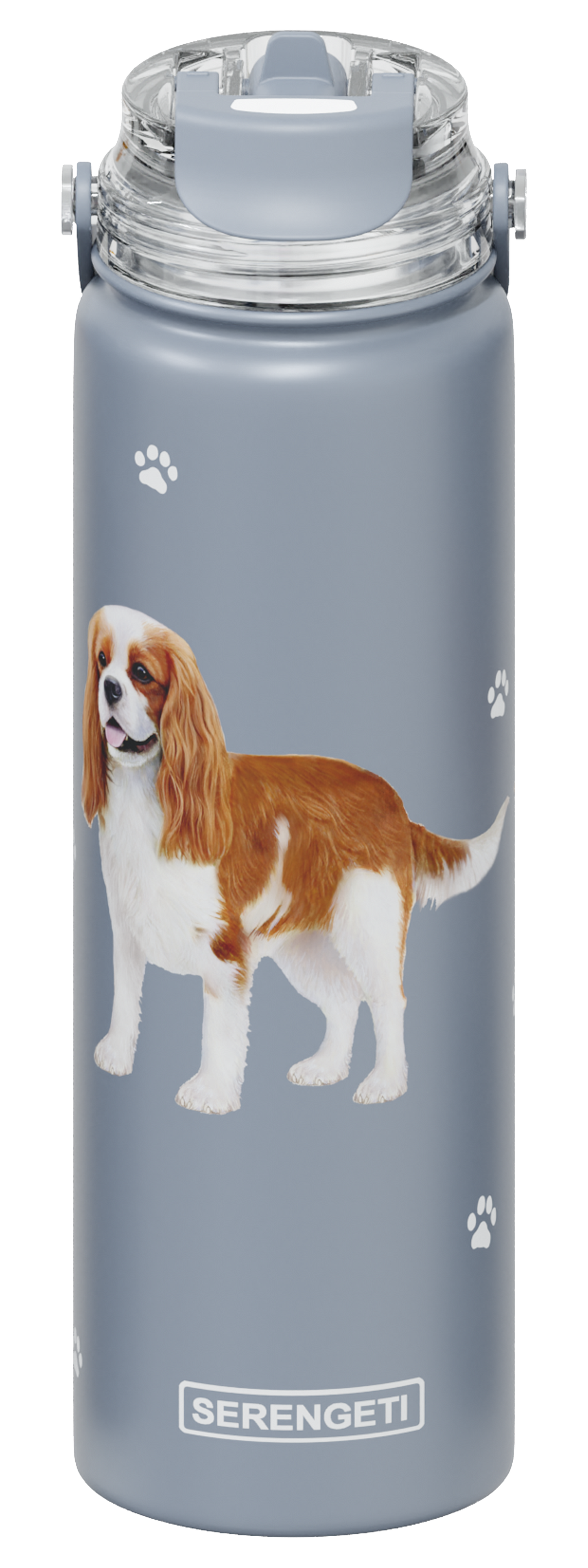 Serengeti Water Bottle - King Charles Spaniel - 24oz