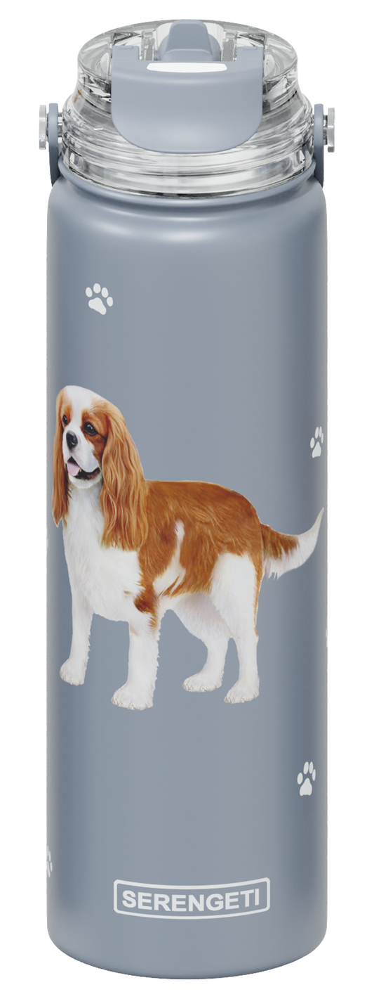 Serengeti Water Bottle - King Charles Spaniel - 24oz